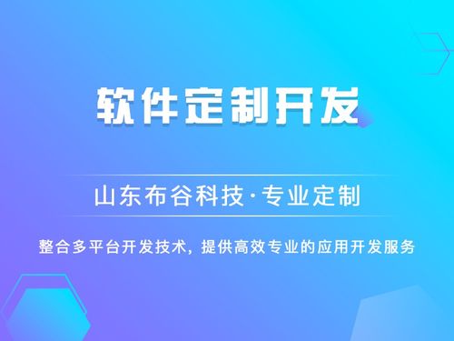 关于微信小程序开发方案,app开发,软件定制开发主要流程分析